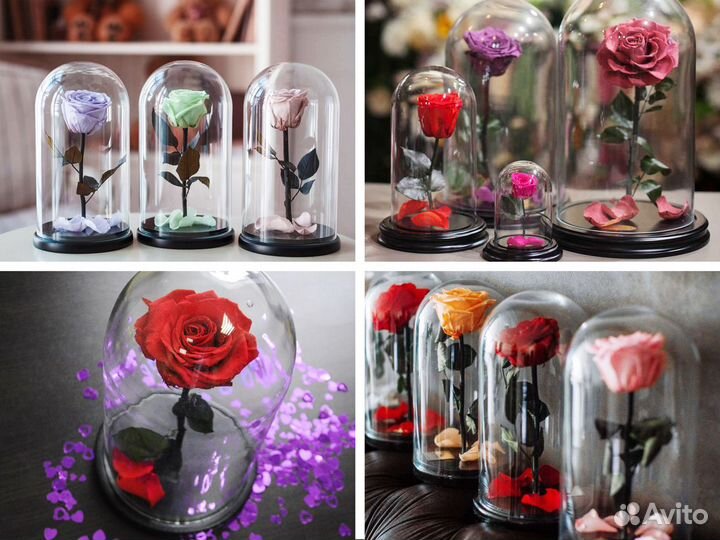 Роза в колбе Премиум Большой выбор