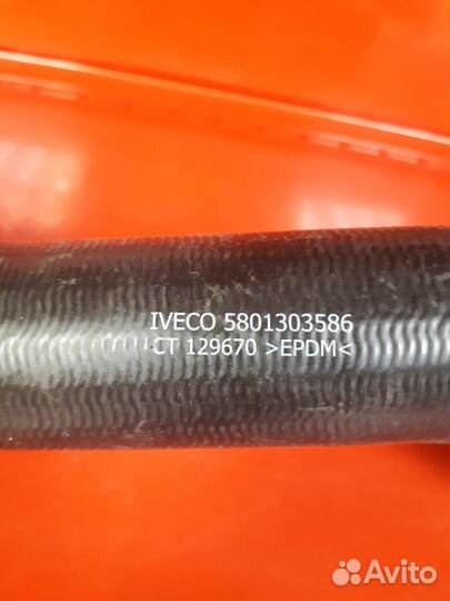 Патрубок радиатора низ. Iveco Daily