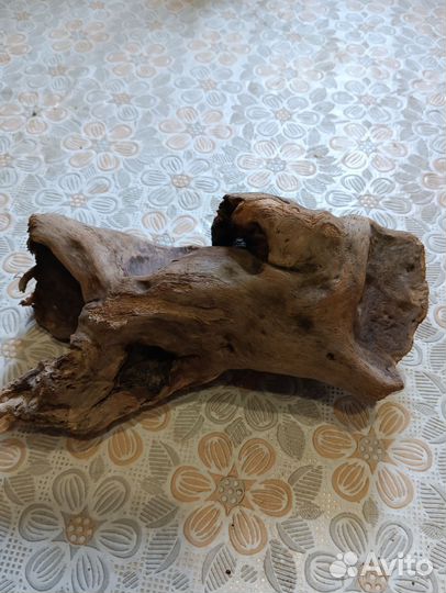 Коряги дрифтвуд