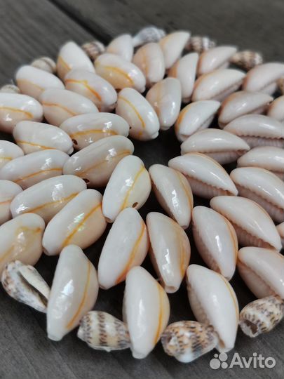 Подставка под чашку двусторонняя из ракушек