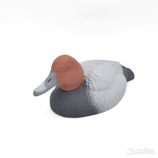 Чучела уток Красноголовый нырок для охоты