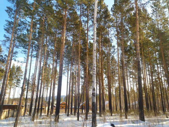 Участок 10 сот. (ИЖС)