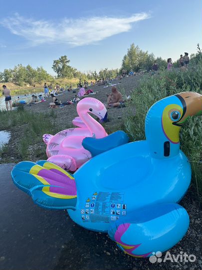 Надувной фламинго и пеликан