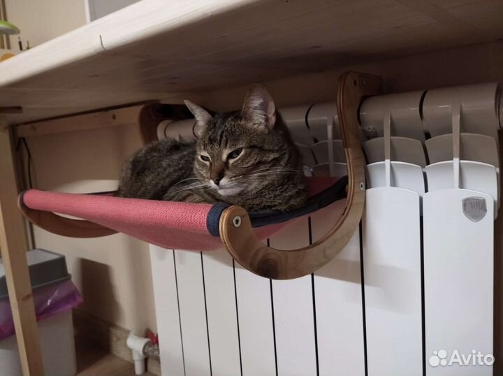 Гамак для кошек на батарею