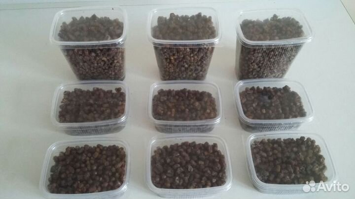 Перга пчелиная