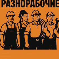 Услуги разнорабочих, Сочи