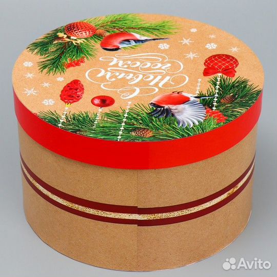 2 шт. Коробка подарочная круглая 'Новогодняя ботан