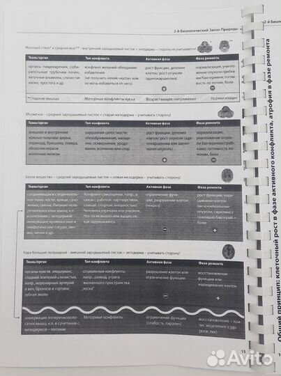 Берн Айбль Справочник пациента и врача на основе Г