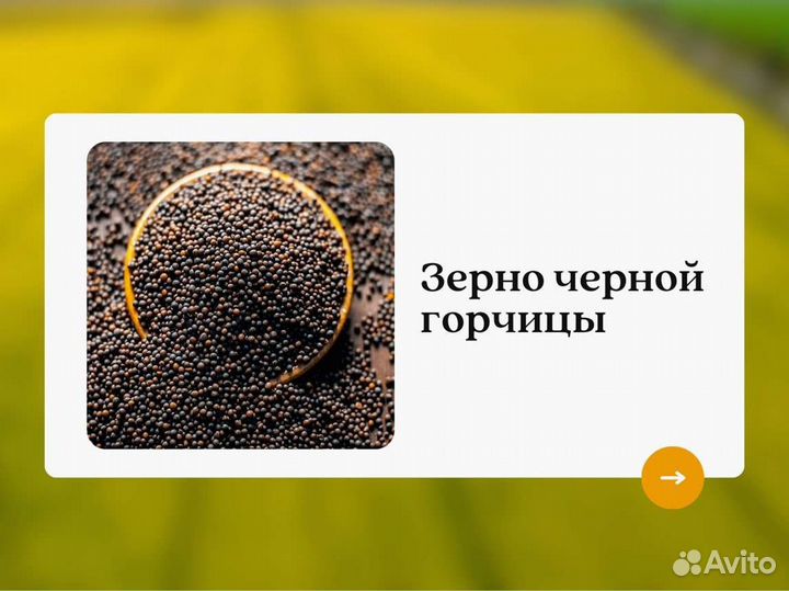 Чёрная горчица (кг)