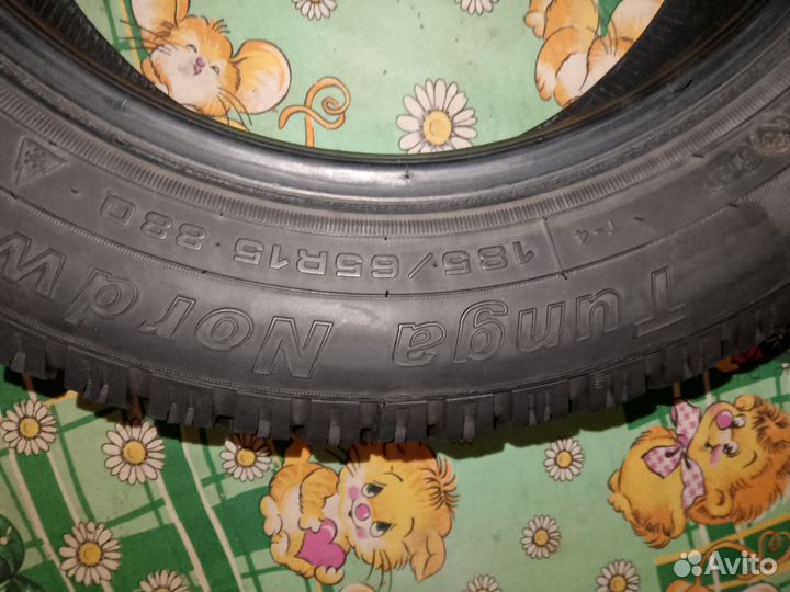 Tunga Nordway 185/65 R15