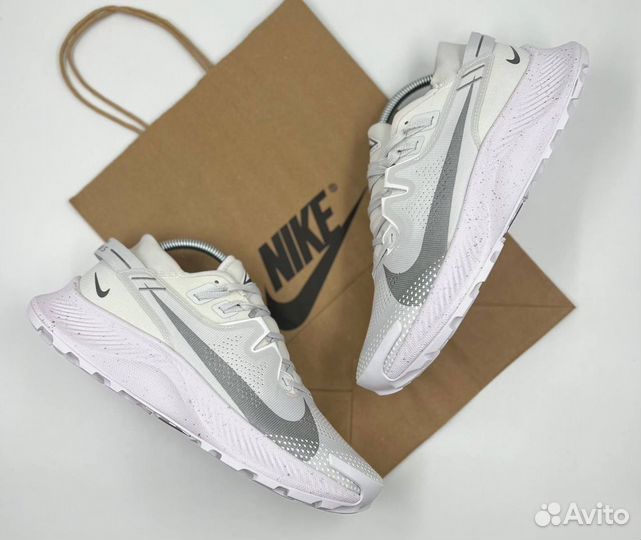 Кроссовки Nike Pegasus Trail 2 мужские летние