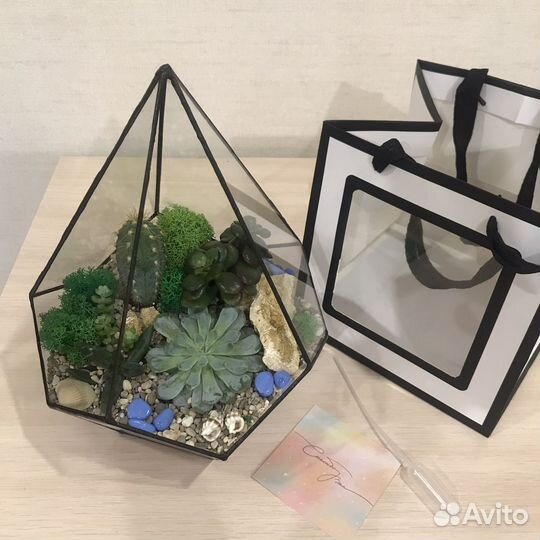 Любимому учителю