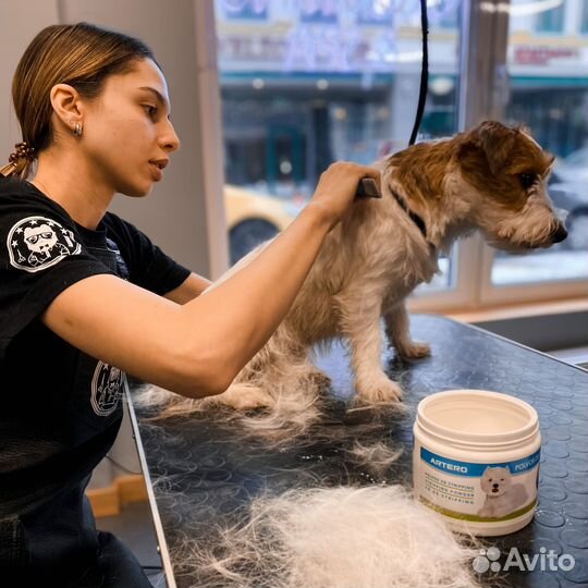 Груминг домашних питомцев