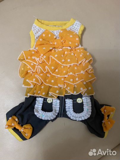 Одежда для собак