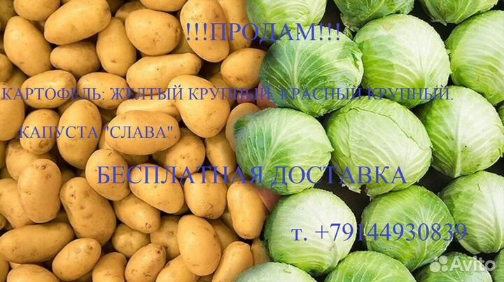 Капуста Картофель