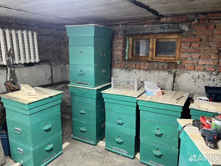 Пчелы и улья