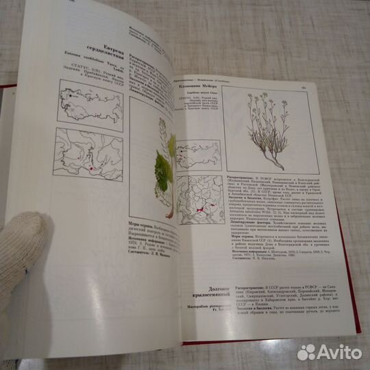 Красная книга.СССР.растения