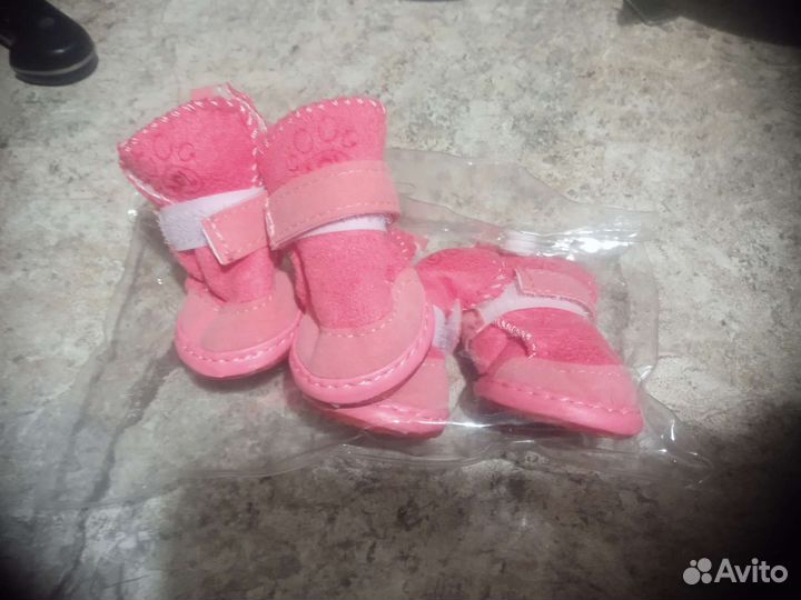 Одежда для маленьких собак