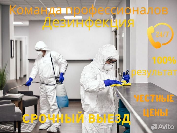 Уничтожение тараканов и клопов дезинфекция