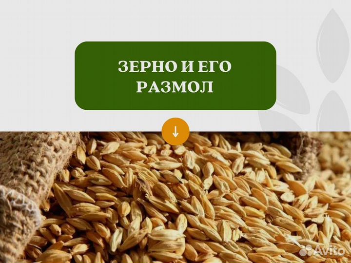 Пшеница Размол (кг)