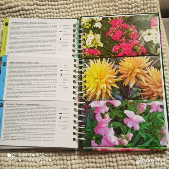 Большая книга, яркая красочная о цветах