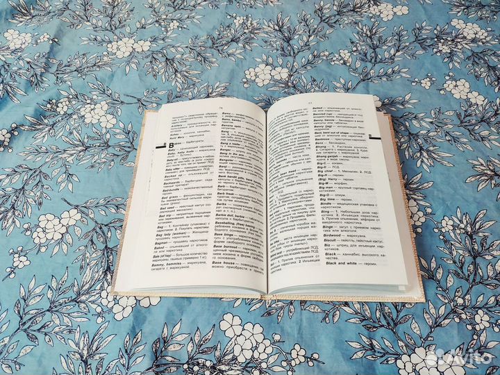 Жаргон наркоманов. Словарь