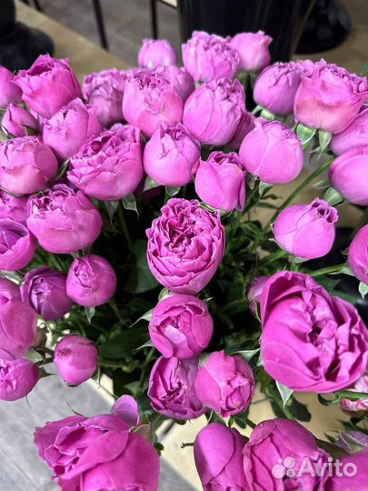 Кустовые розы