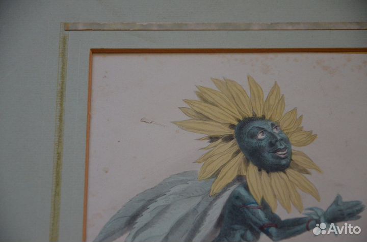 Антикварные гравюры