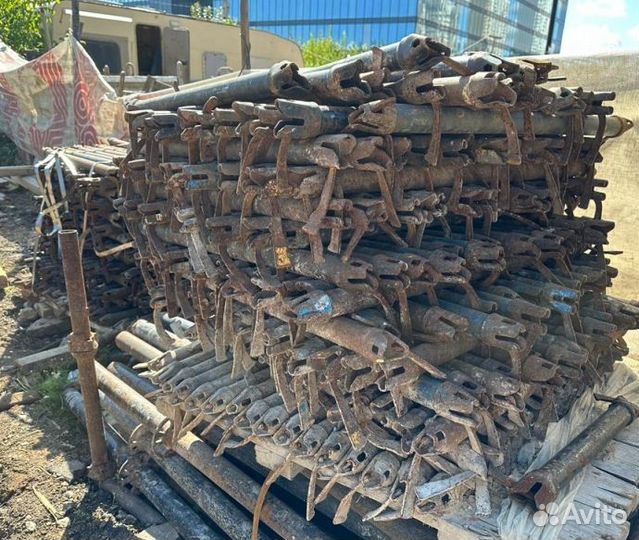 Клиновые леса