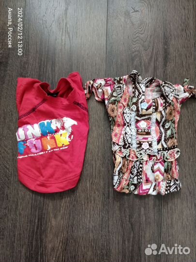 Одежда для собак мелких пород девочек