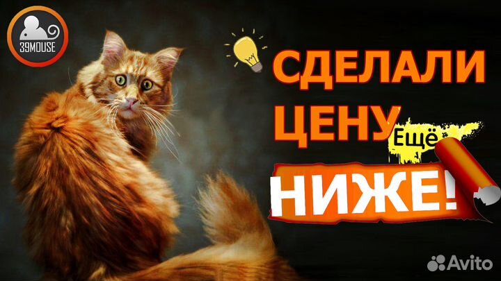 Принтер лазерный Samsung ML-1450 / ч/б / A4