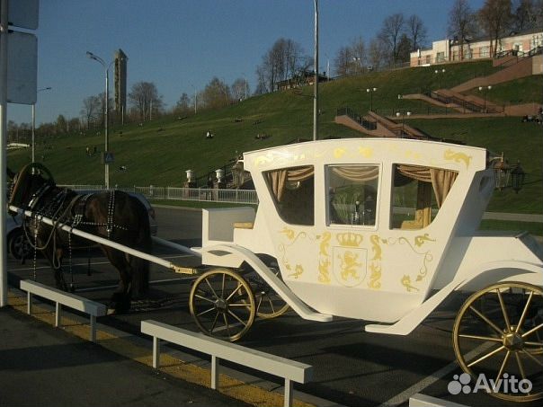 Карета для лошади