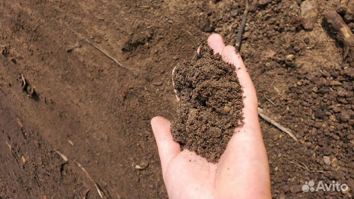 Земля газонная