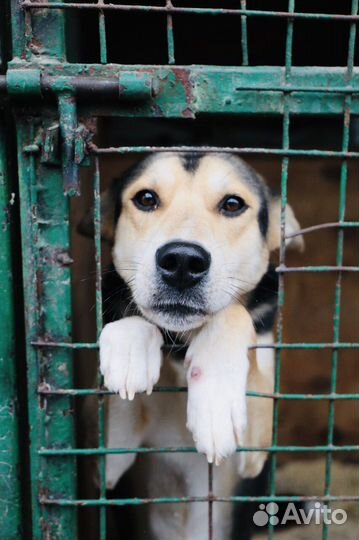 Патрик хочет домой