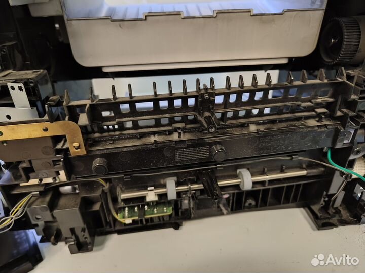 Ремонт принтеров, мфу, плоттеров, компьютеров