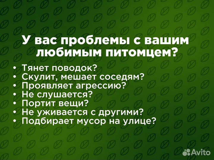 Кинолог. Профессиональный уход. Передержка