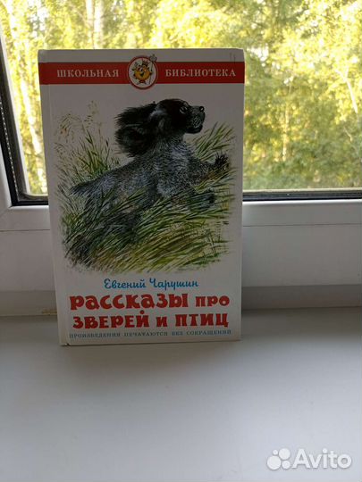 Сказки книга для детей