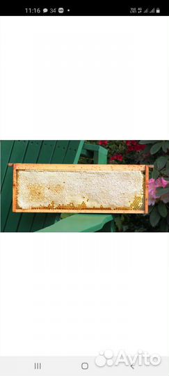 Продаю вкусный свежий мед, мед в сотах