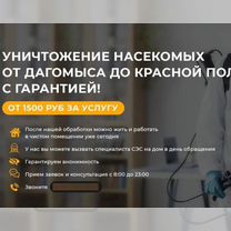 Уничтожение ос, блох плесень, клопы, тараканы и др