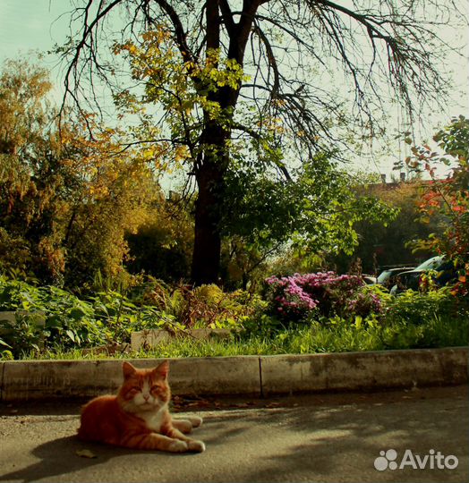 Фотосъемка