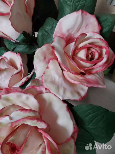 Ростовые розы