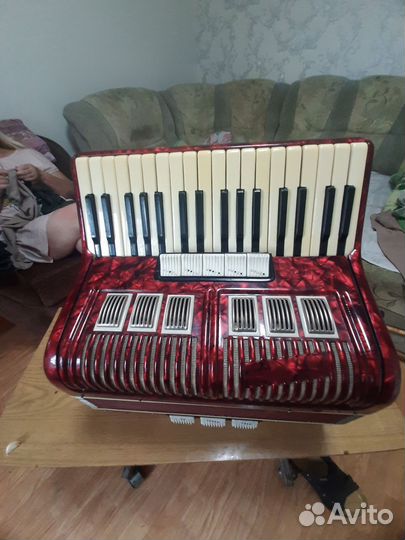 Аккордеон