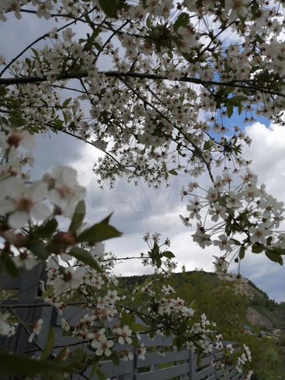 Дом 30 м² на участке 12 сот.