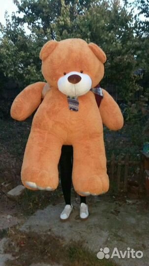 Плюшевый медведь
