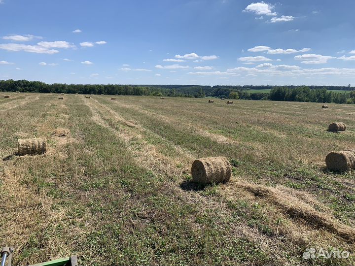 Сено луговое разнотравие,солома ячменная в тюках