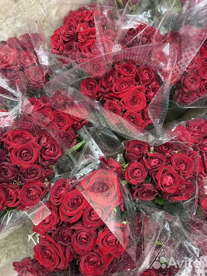 Розы оптом к 8 марта Саранск