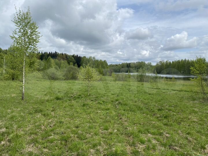 Участок 22 сот. (СНТ, ДНП)