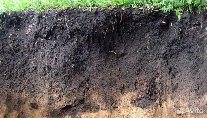 Плодородный грунт