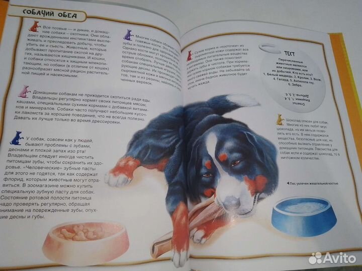 Энциклопедия для детей 