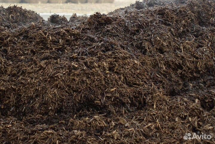Продам навоз